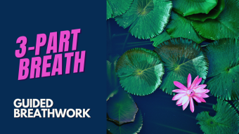 Dirga Pranayama: Three-Part Breath