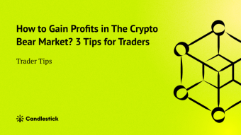 😎 How to Gain Profits in The Crypto Bear Market? 3 Tips for Traders