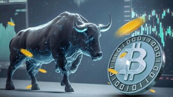 How should you Invest in the Current Bull Run?