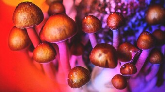 The Veil Has Been Broken (2 minute read)