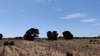 Reflections from a Farm Part 2: Money Flow and Debt
