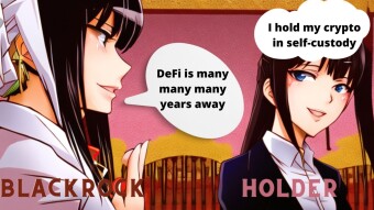 BlackRock Executive: DeFi Adoption is "many, many, many years away"... Don't Listen to Them, Hold Your Crypto in Self-Custody