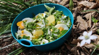 #BIWAKKITCHEN016 - Dandelion Salad