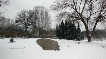 Winter, no doubt about it - My Actifit Report Card: January 12, 2025