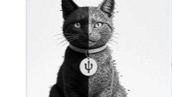 PSYCHONAUT ain't no more just about 420, DMT and psychedelics ! It's an oncoming real decentralized social media powered by blockchain and PoW 2.0!