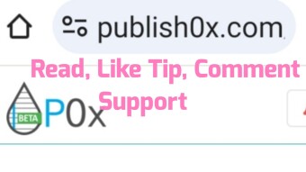 Publish0x : My Little Remarks On The Platform