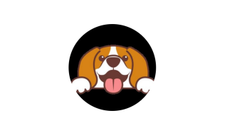 Boost Passive And Active Income With Beagle Finance
