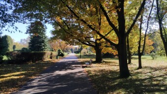 Sunny Monday - My Actifit Report Card: October 20, 2025