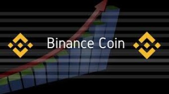 Binance Coin (BNB): fall before the boom ?.