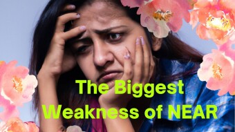 The Biggest Weakness Of Near Protocol