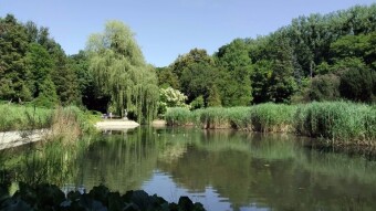 Beautiful Saturday, sunny, moderately warm and a lot of steps taken - My Actifit Report Card: July 5 2025