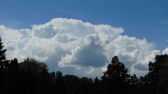 A beautiful May day and some kilometers in my legs - My Actifit Report Card: May 25 2024
