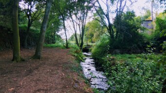 Trip to Portugal - Explore new paths in Sta Justa