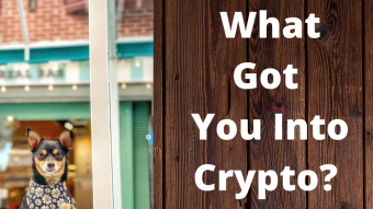 Crypto Is For Everyone, Dogecoin and NFT Craziness