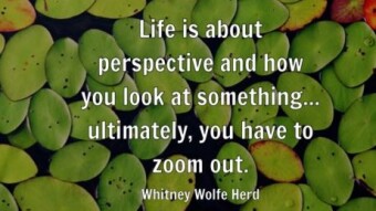 Perspective 👓
