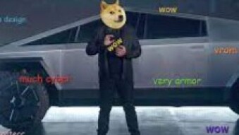 Dogecoin and Elon