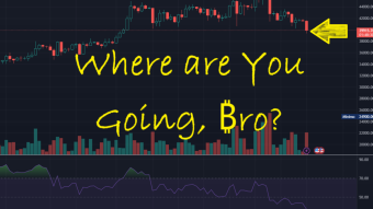 Where are You going, ₿ro?