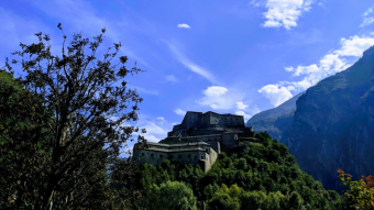 Napoleonica 2019