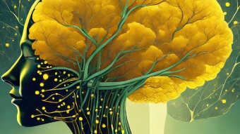 NAVIGATING THE EVOLUTIONARY PATH: FROM BIOLOGICAL CONSCIOUSNESS TO ARTIFICIAL INTELLIGENCE