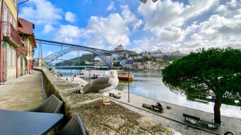 Trip Portugal - Lockdown weekend in Porto by the river
