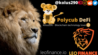 DeFi Opportunities at PolyCub