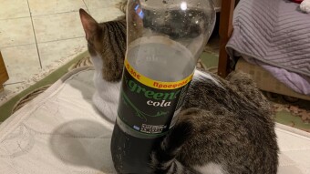 LOCOstories #29 he owed the coke now !!!!