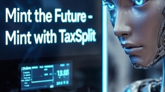 TaxSplit.app Recap Report