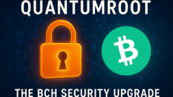 How a Silent Breakthrough Called Quantumroot Changed the Way I See BCH