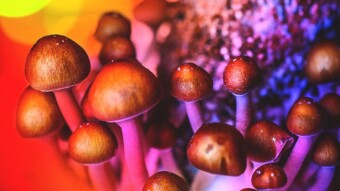 Cryptocurrency and Psilocybin
