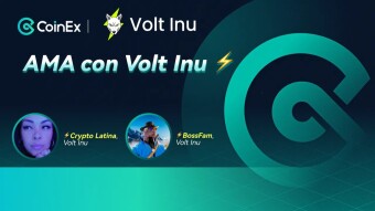 Resumen del AMA con Volt Inu