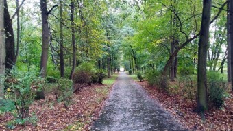 Monday marked by cold and rain - My Actifit Report Card: October 6, 2025