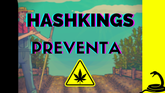 Cómo participar en la presale de HASHKINGS 🌱🌱