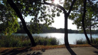 Another summer September day - My Actifit Report Card: September 6 2024