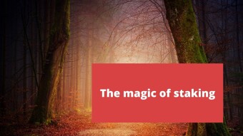 The magic of staking Hive