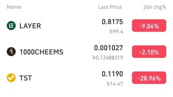 LAYER, 1000CHEEMS, TST In Live On Binance