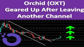 Orchid (OXT) Geared Up After Leaving Another Channel