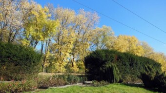 A beautiful day for a walk in the park and surprisingly warm - My Actifit Report Card: October 23 2023
