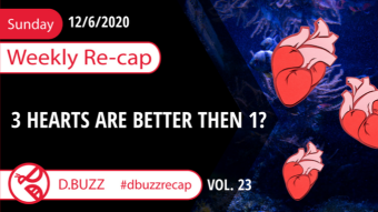 Recap of this Week's Posts by D.Buzz Vol.23