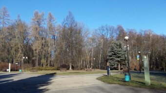 Wednesday is a good one. A beautiful day - My Actifit Report Card: February 5, 2025