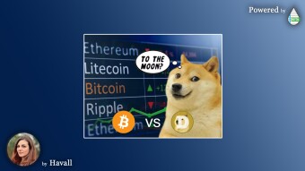 Does DOGE overtake BTC? IT DOES! (on Google)🔍
