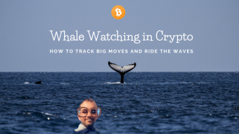 Whale Watching in Crypto: How to Track Big Moves and Ride the Waves