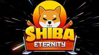 Shiba Eternity presentation