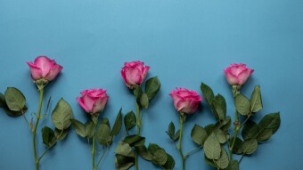 2021 Valentine's Day