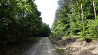 After the Jurassic journeys, back to everyday life - My Actifit Report Card: June 4 2024
