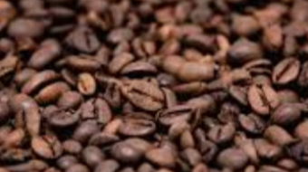 Kaffe eine Zauberbohne, Treibstoff unserer Gesellschaft / Coffee a magic bean, fuel of our society.