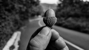 Tiny Seeds Planted Right