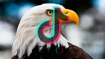 Tiktok Case: USA vs China