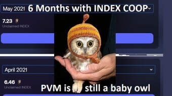 Six months with the Index Coop - The #IndexOwl family grows stronger