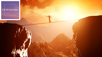 Delegate Risk, Large Cap Investment Strategy