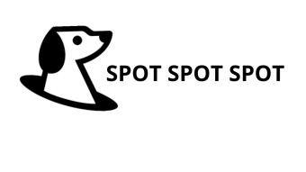 SPOT Earnings What’s Happening